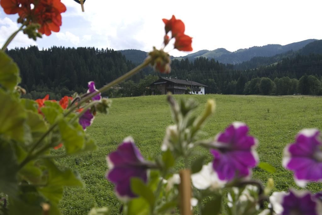 Haus Schatzbergblick Oberau Eksteriør bilde